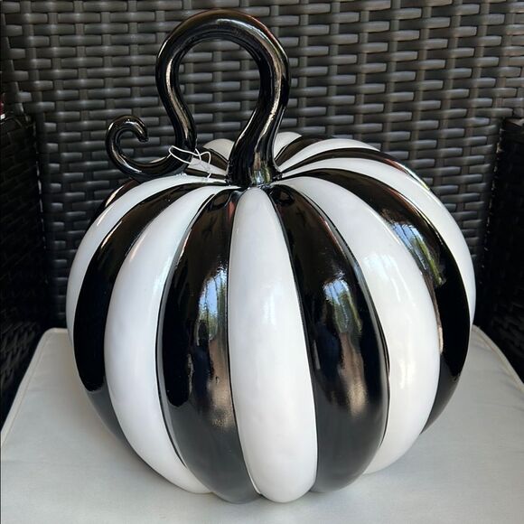 Elegant Glossy Black and White Stripe Pumpkin - Picture 2 of 10